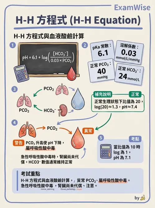 醫檢師 - 血液氣體分析及酸鹼平衡 - AI 圖文解析預覽