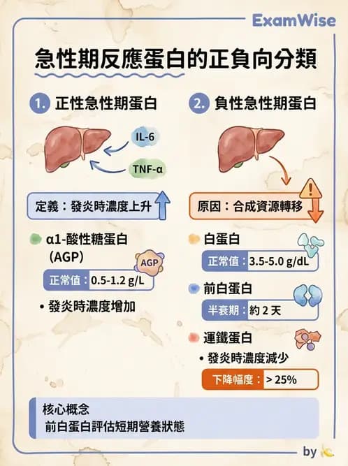 醫檢師 - 血清蛋白與蛋白質檢測 - AI 圖文解析預覽