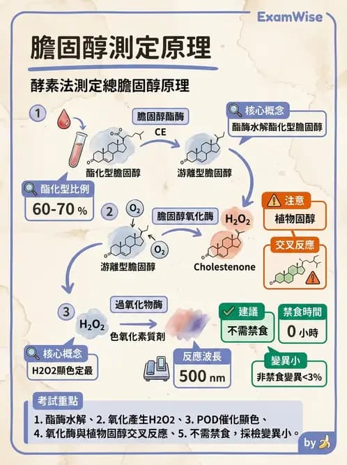 醫檢師 - 脂蛋白分類與臨床應用 - AI 圖文解析預覽