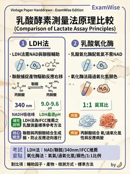 醫檢師 - 醣類代謝與糖尿病 - AI 圖文解析預覽