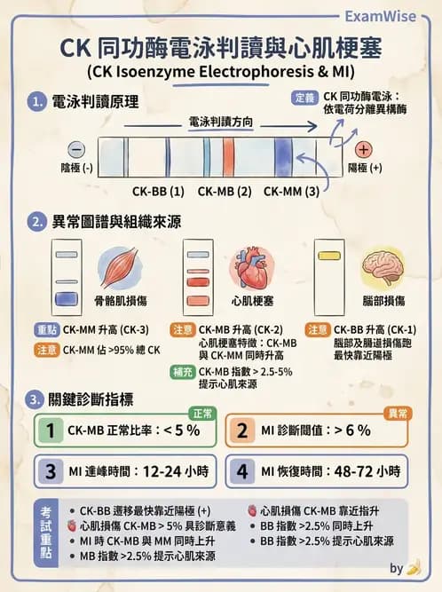 醫檢師 - 心肌標誌與心臟診斷 - AI 圖文解析預覽