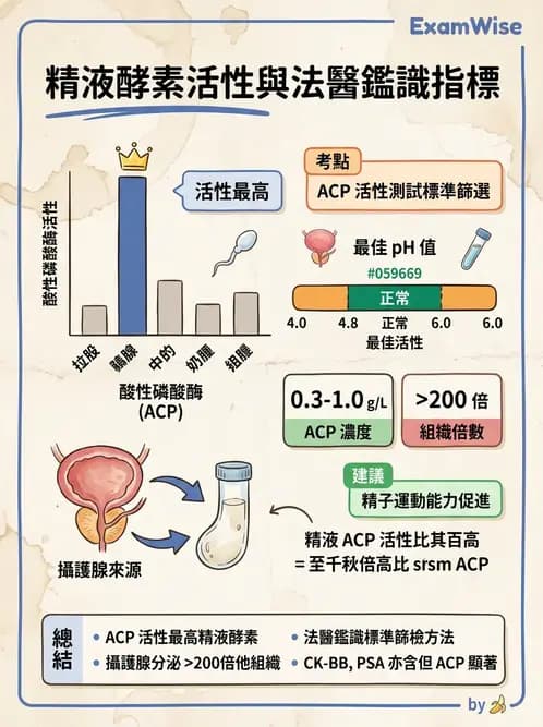醫檢師 - 臨床酵素學基礎 - AI 圖文解析預覽