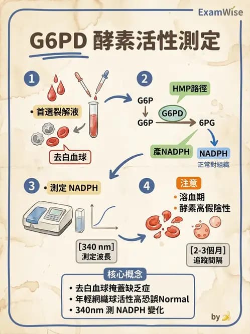 醫檢師 - 臨床酵素學基礎 - AI 圖文解析預覽