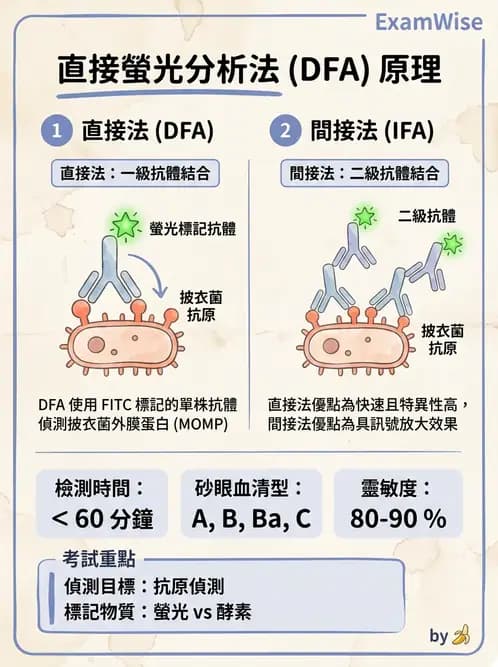 醫檢師 - 實驗室測試免疫法 - AI 圖文解析預覽