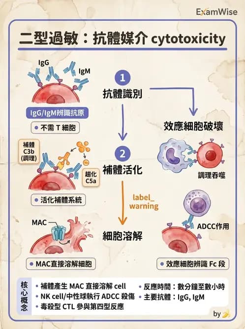 醫檢師 - 過敏反應及測試法 - AI 圖文解析預覽