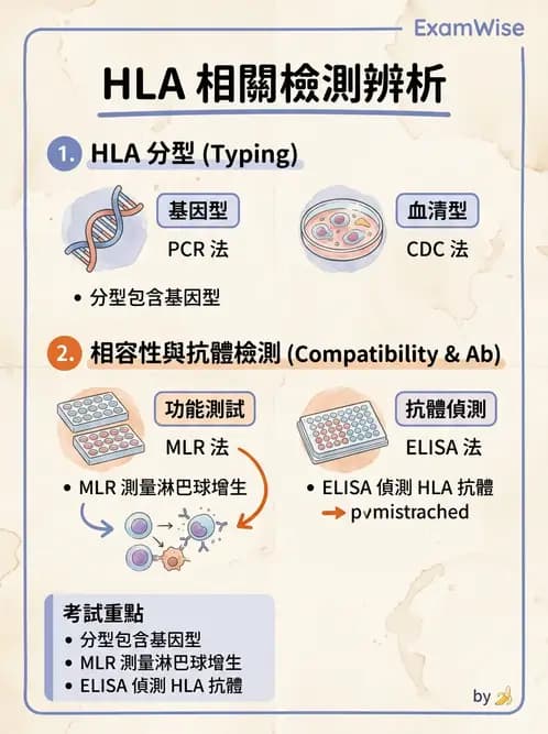 醫檢師 - 組織型與移植免疫學 - AI 圖文解析預覽
