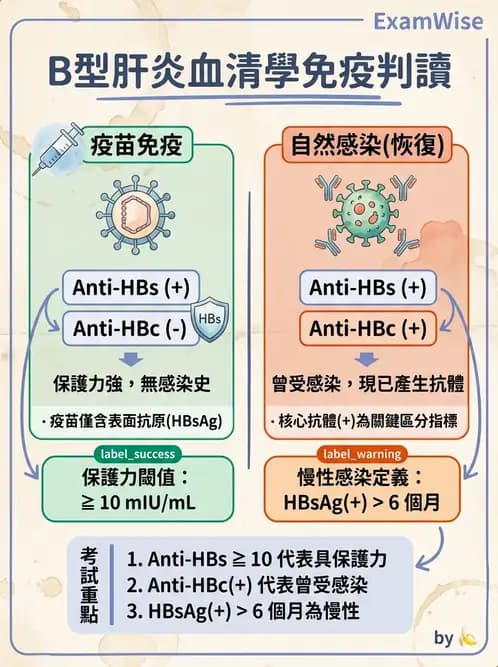 醫檢師 - 急性發炎蛋白與微生物感染血清學 - AI 圖文解析預覽