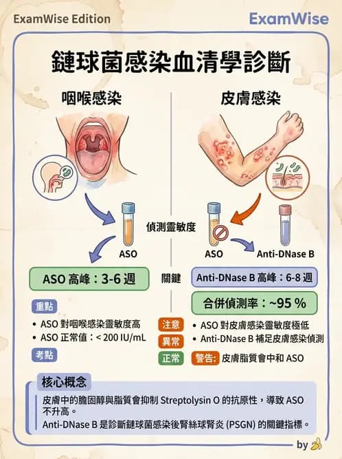 醫檢師 - 急性發炎蛋白與微生物感染血清學 - AI 圖文解析預覽