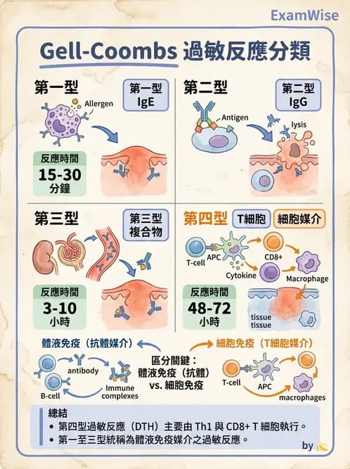 醫檢師 - 過敏反應及測試法 - AI 圖文解析預覽