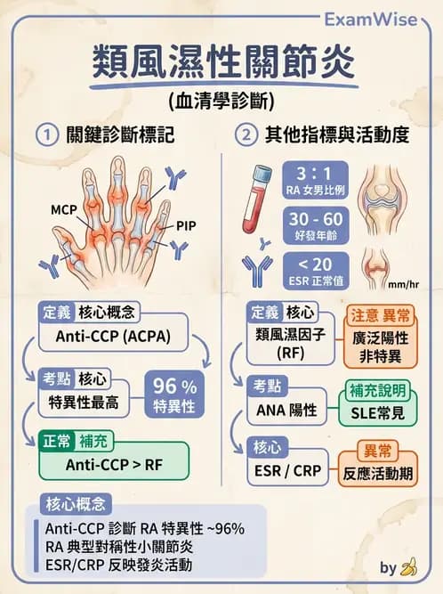 醫檢師 - 其他自體免疫疾病與自體抗體檢驗 - AI 圖文解析預覽