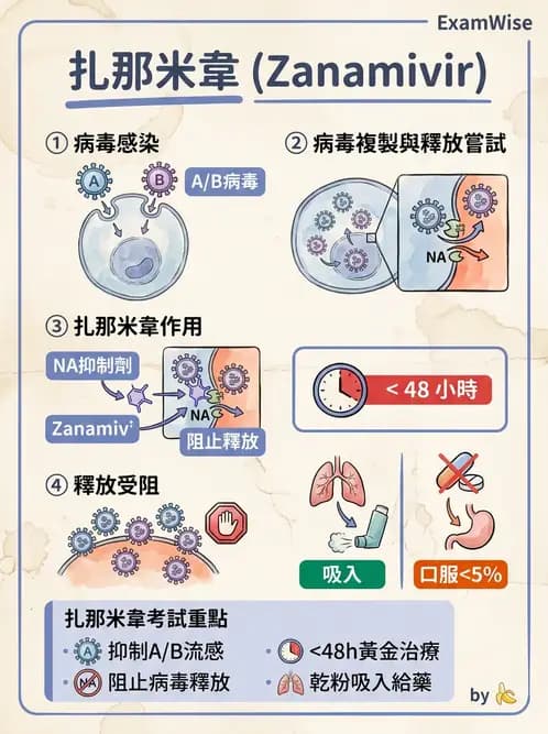 醫檢師 - 抗病毒藥物與疫苗通論 - AI 圖文解析預覽