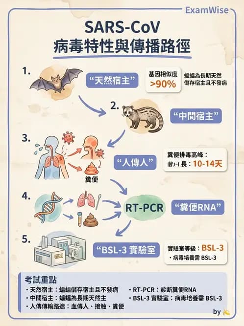 醫檢師 - 冠狀病毒科 - AI 圖文解析預覽
