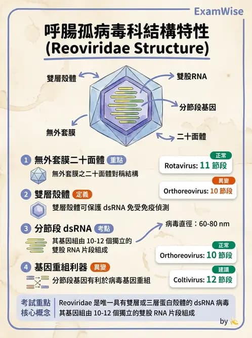 醫檢師 - 其他RNA病毒 - AI 圖文解析預覽