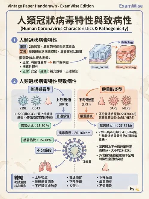 醫檢師 - 冠狀病毒科 - AI 圖文解析預覽