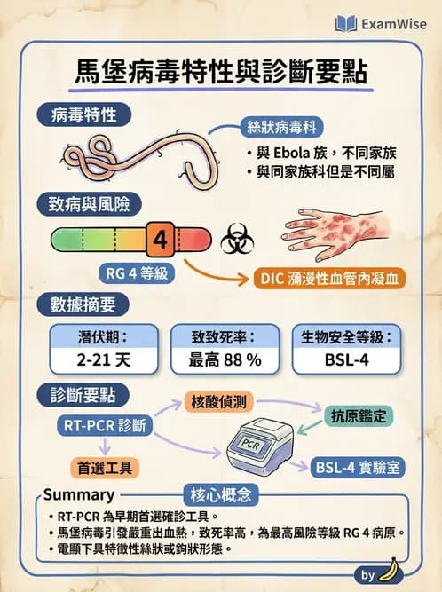 醫檢師 - 其他RNA病毒 - AI 圖文解析預覽