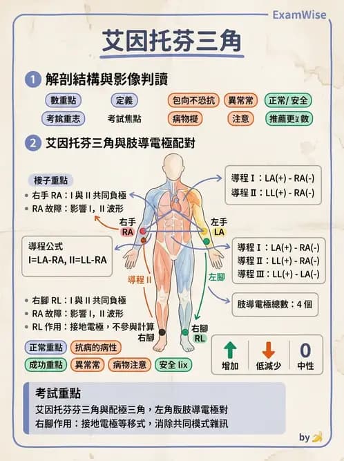 醫檢師 - 心電圖基礎與判讀 - AI 圖文解析預覽