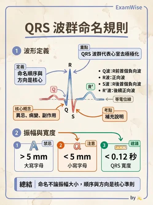 醫檢師 - 心電圖基礎與判讀 - AI 圖文解析預覽