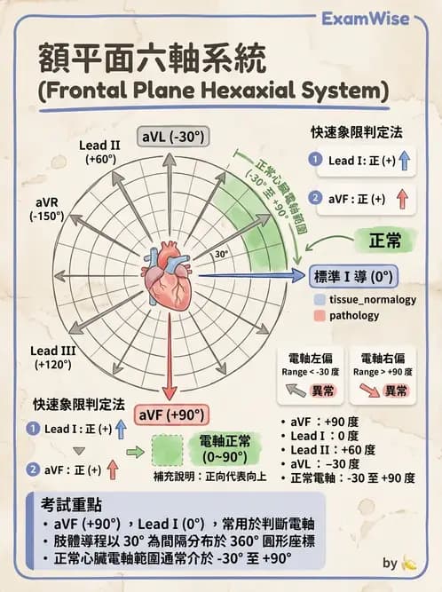 醫檢師 - 心電圖基礎與判讀 - AI 圖文解析預覽