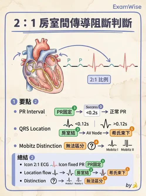醫檢師 - 心律不整判讀 - AI 圖文解析預覽