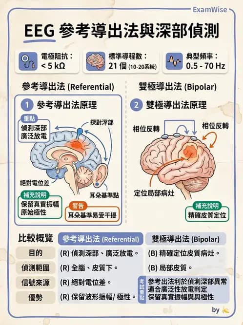 醫檢師 - 腦電圖檢查 - AI 圖文解析預覽
