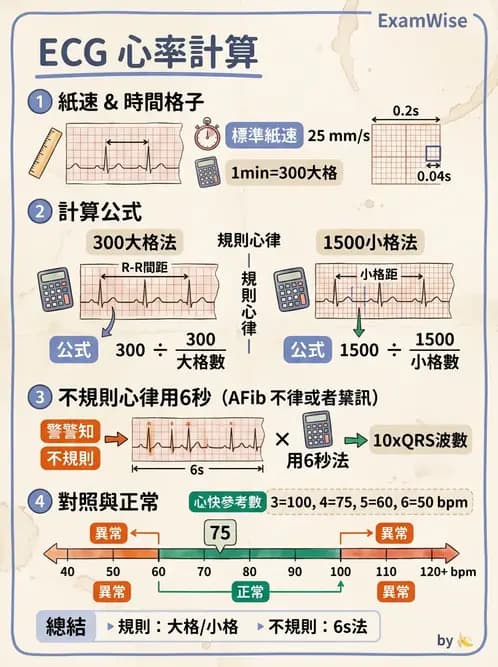 醫檢師 - 心電圖基礎與判讀 - AI 圖文解析預覽