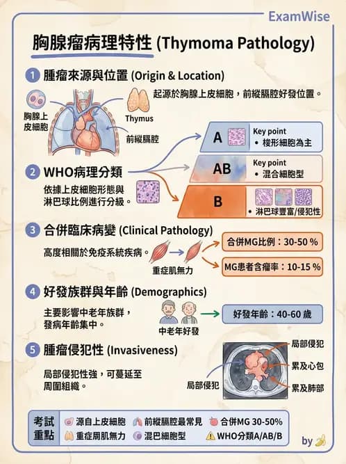 醫檢師 - 腫瘤概論 - AI 圖文解析預覽