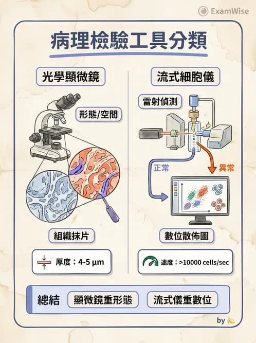 醫檢師 - 腫瘤概論 - AI 圖文解析預覽