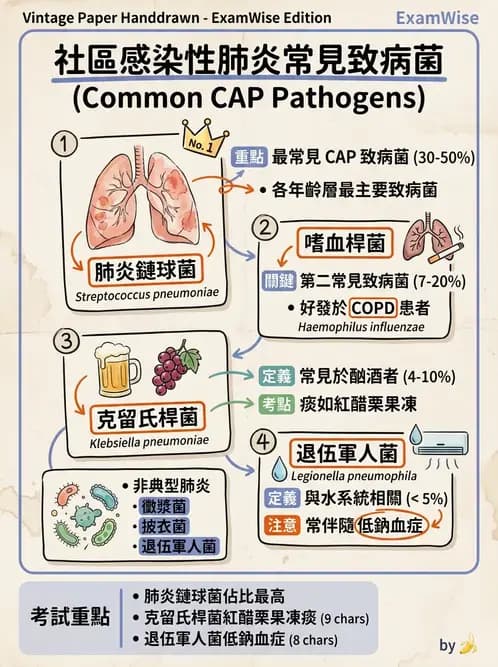 醫檢師 - 呼吸系統疾病 - AI 圖文解析預覽