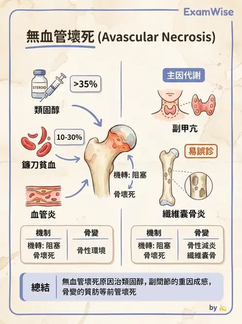 醫檢師 - 骨骼及軟組織疾病 - AI 圖文解析預覽