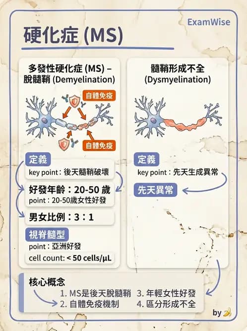 醫檢師 - 神經系統疾病 - AI 圖文解析預覽