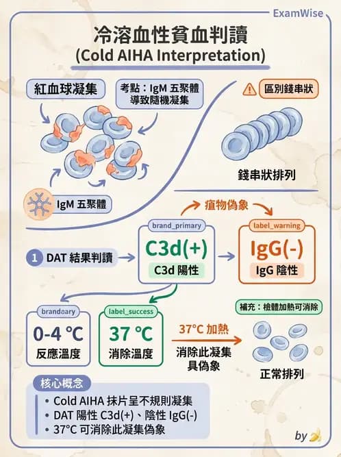 醫檢師 - 溶血性貧血與血色素病變 - AI 圖文解析預覽