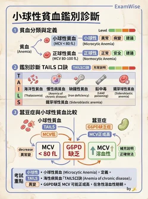醫檢師 - 貧血診斷與營養缺乏性貧血 - AI 圖文解析預覽