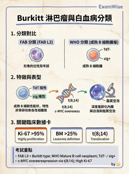 醫檢師 - 急性白血病 - AI 圖文解析預覽