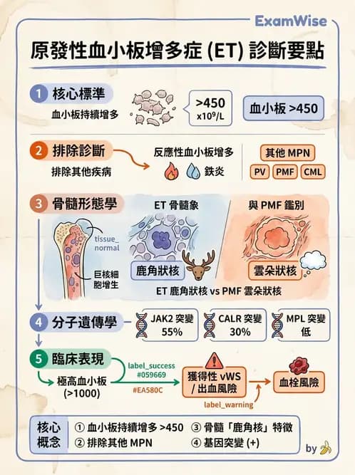 醫檢師 - 慢性血液腫瘤與骨髓增生疾患 - AI 圖文解析預覽