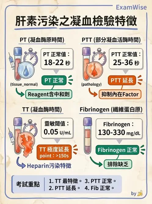 醫檢師 - 凝血因子與凝血檢驗 - AI 圖文解析預覽