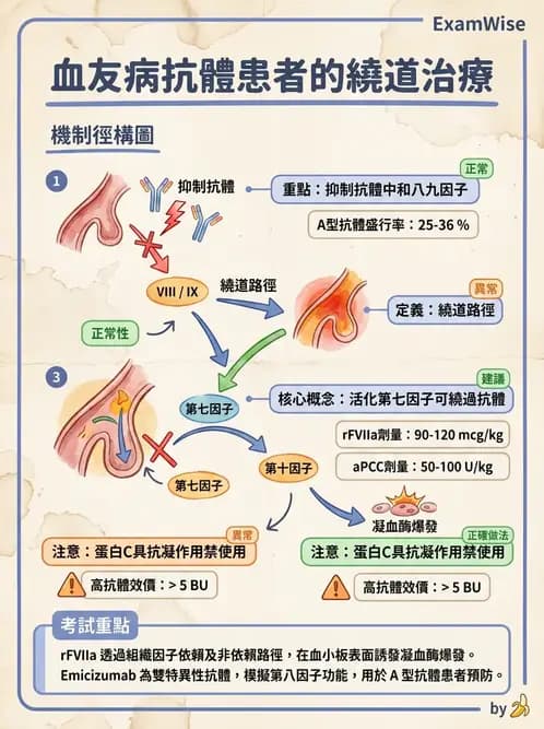 醫檢師 - 出血性疾病與檢驗 - AI 圖文解析預覽