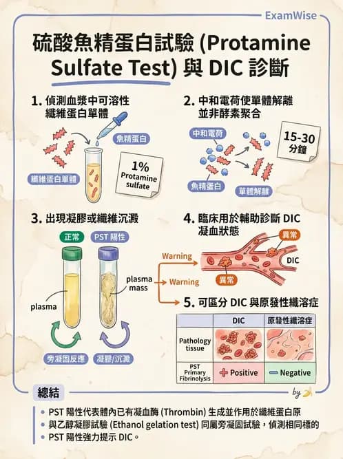 醫檢師 - 凝血因子與凝血檢驗 - AI 圖文解析預覽