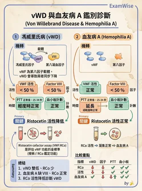 醫檢師 - 出血性疾病與檢驗 - AI 圖文解析預覽
