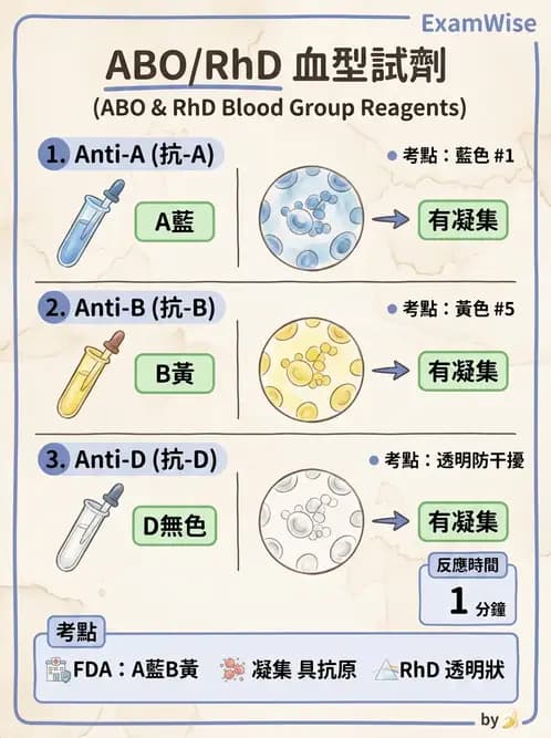 醫檢師 - 血液成分製備與輸血檢查 - AI 圖文解析預覽