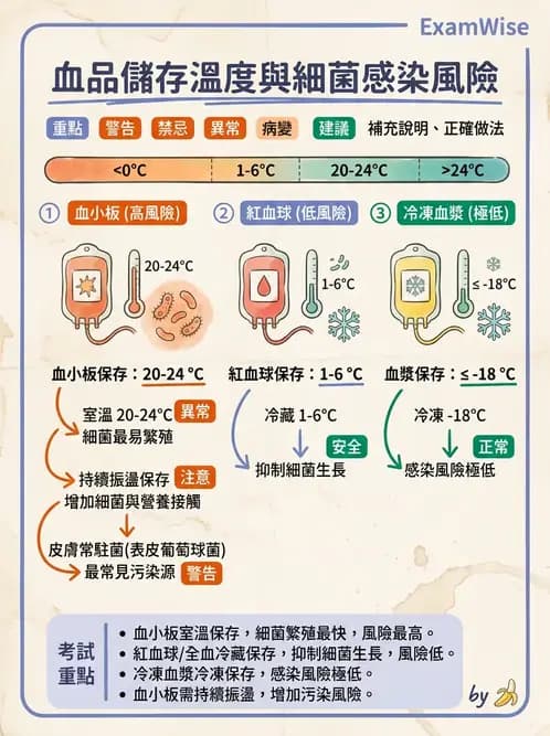 醫檢師 - 輸血反應與血庫品管 - AI 圖文解析預覽