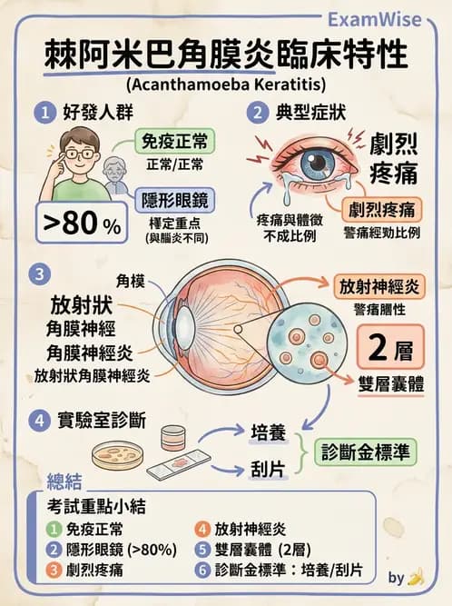 醫檢師 - 寄生蟲檢查-原蟲類 - AI 圖文解析預覽
