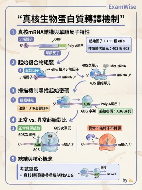 醫檢師 - 基礎分子生物學 - AI 圖文解析預覽