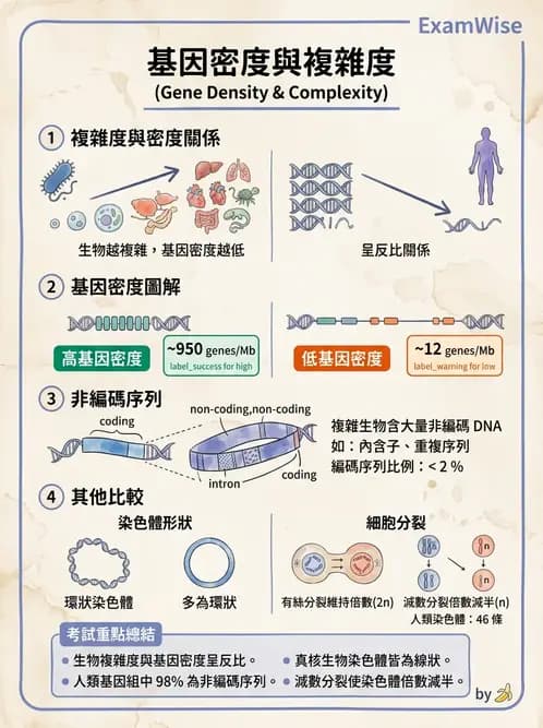 醫檢師 - 基礎分子生物學 - AI 圖文解析預覽