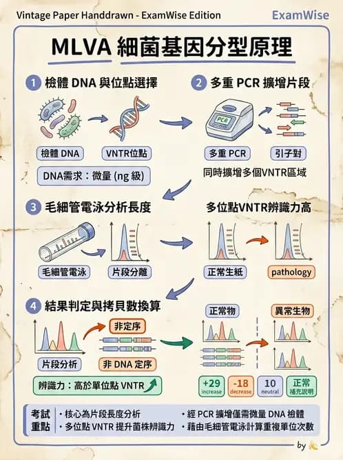 醫檢師 - 分子鑑定與應用技術 - AI 圖文解析預覽
