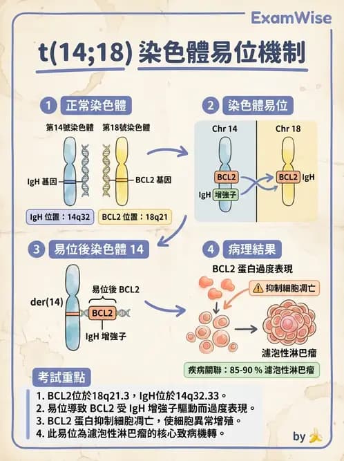 醫檢師 - 腫瘤疾病基因檢測 - AI 圖文解析預覽
