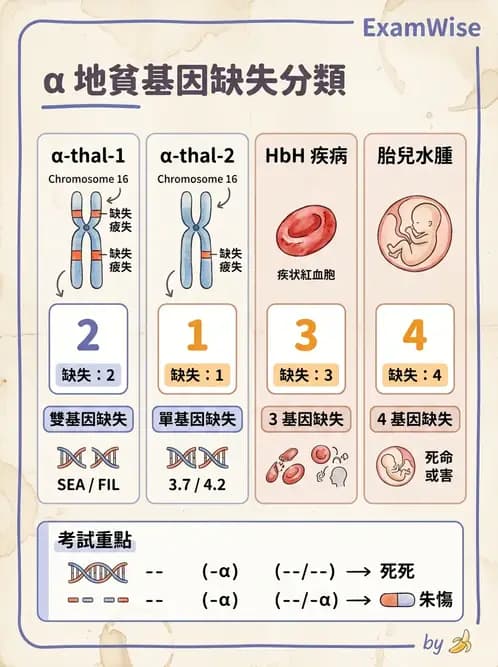 醫檢師 - 遺傳疾病基因檢測 - AI 圖文解析預覽