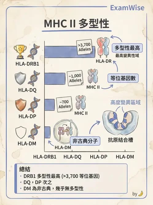 醫檢師 - 分子鑑定與應用技術 - AI 圖文解析預覽