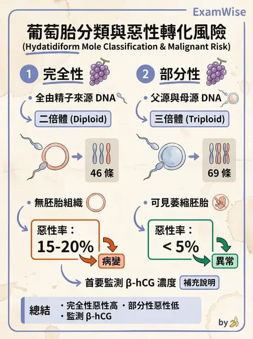 醫檢師 - 腫瘤疾病基因檢測 - AI 圖文解析預覽