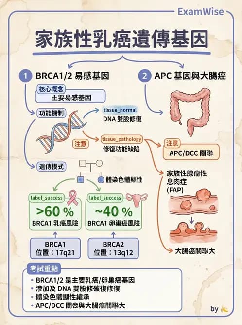 醫檢師 - 腫瘤疾病基因檢測 - AI 圖文解析預覽