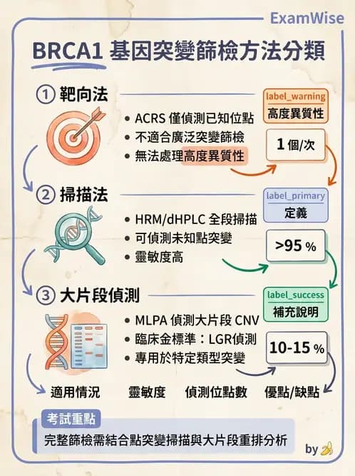 醫檢師 - 腫瘤疾病基因檢測 - AI 圖文解析預覽